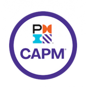 Certified Associate in Project Management (CAPM)® preparation course by distance