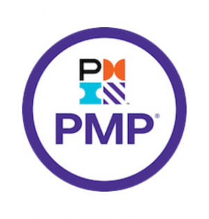 PMP® preparation course by distance